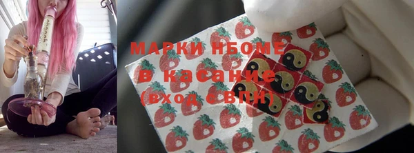 ГАЛЛЮЦИНОГЕННЫЕ ГРИБЫ Аркадак