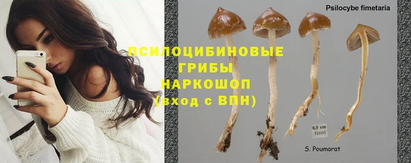 герыч Надым