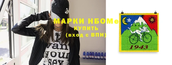 стаф Арсеньев