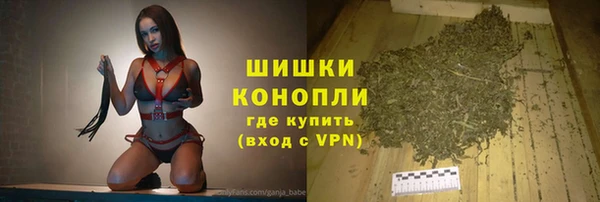 ГАЛЛЮЦИНОГЕННЫЕ ГРИБЫ Аркадак
