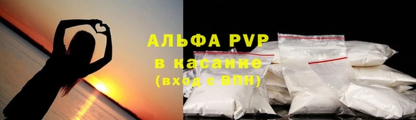стаф Арсеньев