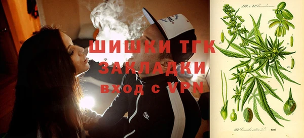 ГАЛЛЮЦИНОГЕННЫЕ ГРИБЫ Аркадак